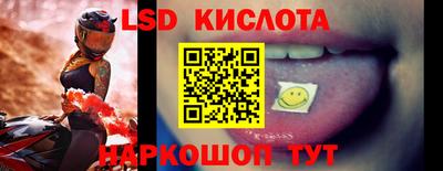 сатива Будённовск